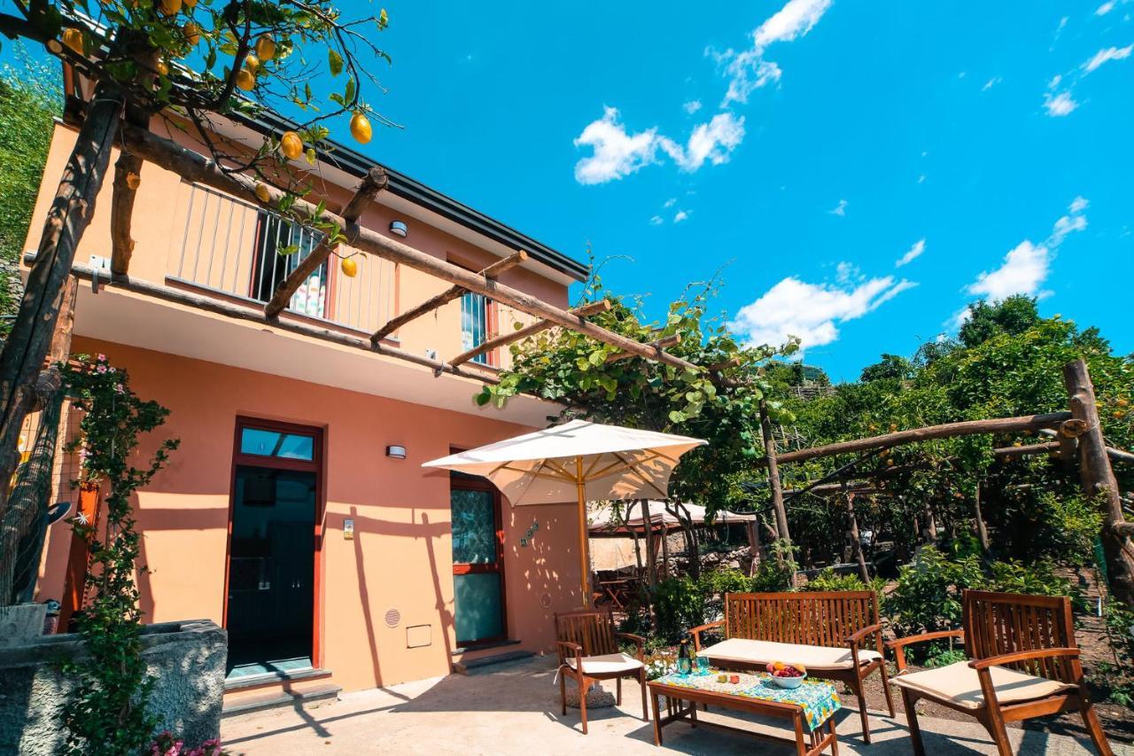Poggio Angelarosa: Lemon Garden Stay&Relax Scala Zewnętrze zdjęcie