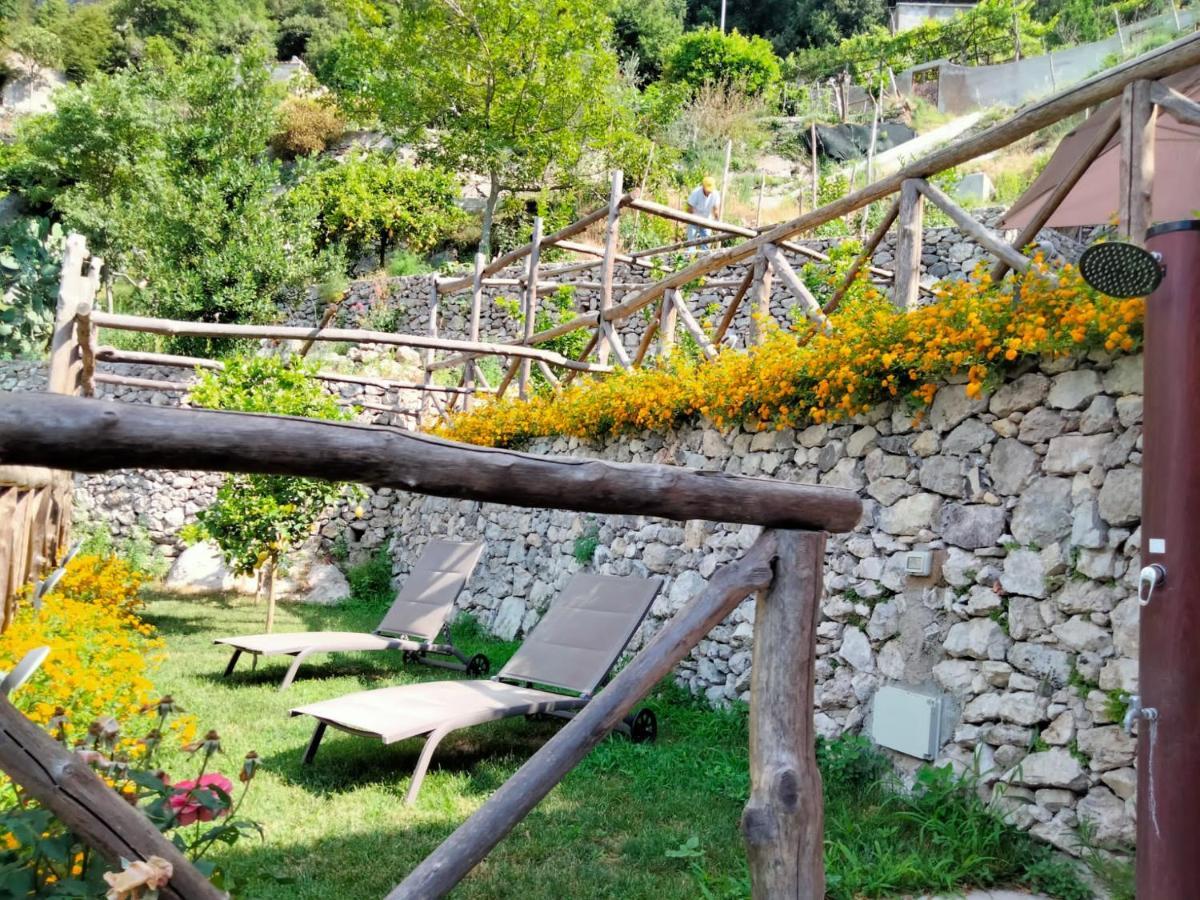 Poggio Angelarosa: Lemon Garden Stay&Relax Scala Zewnętrze zdjęcie