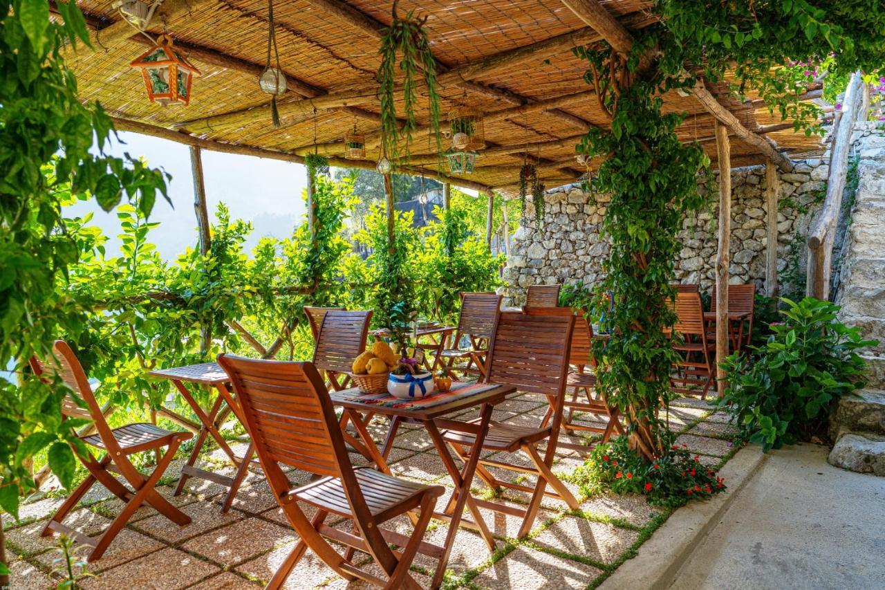 Poggio Angelarosa: Lemon Garden Stay&Relax Scala Zewnętrze zdjęcie