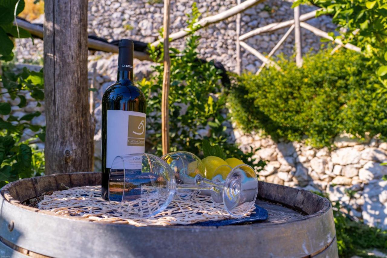 Poggio Angelarosa: Lemon Garden Stay&Relax Scala Zewnętrze zdjęcie